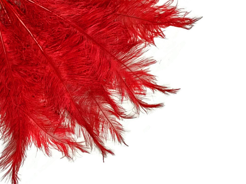 BOGO 50% Apple / Lime Green Ostrich Feathers 29-32 - SPADS