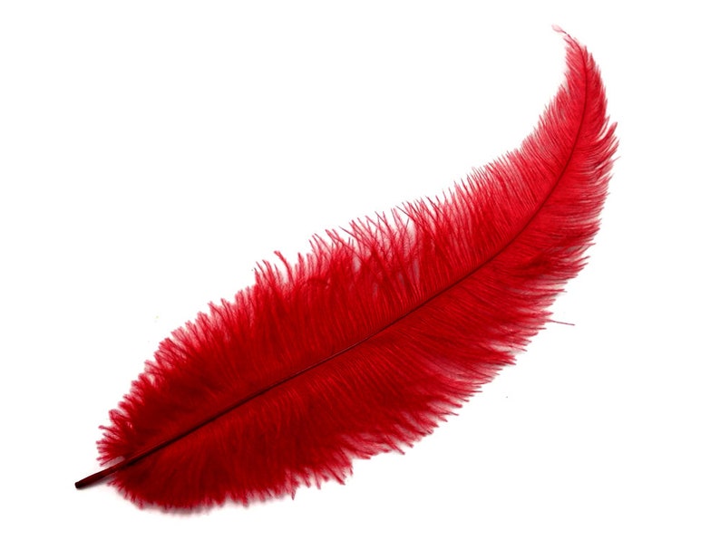 20 Pieces 12-18 Red Mini Ostrich Spads Chick Body Feathers Halloween Costume Centerpiece Ostrich Feathers 3350