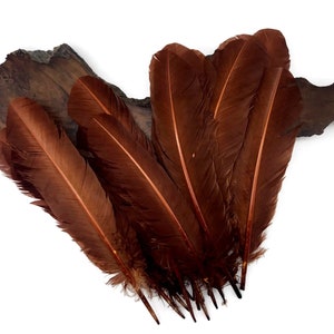 Wholesale Feathers, 1/4 lb - Brown Turkey Rounds Secondary Wing Quill Wholesale Feathers (bulk) Craft Supply : 2153