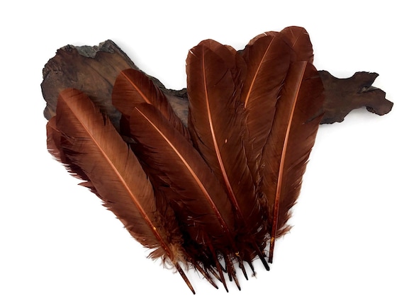 6 Pieces - Light Brown Turkey Rounds Secondary Wing Quill Feathers