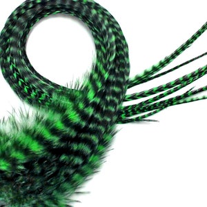 6 Pieces - XL Kelly Green Thick Long Grizzly Whiting Farm Rooster Saddle Hair Extension Feathers Fly Tying Craft Supply : 859