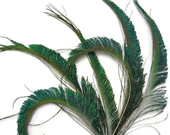 10 Pieces - 10-12" Natural Iridescent Green Peacock Swords Cut Feathers Fly Tying, Costume, Craft Supply : 312