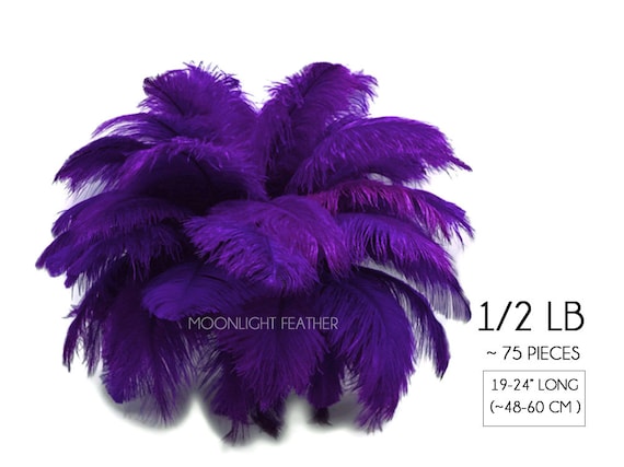 19-24 Ostrich Feathers - Purple (Pack of 12)