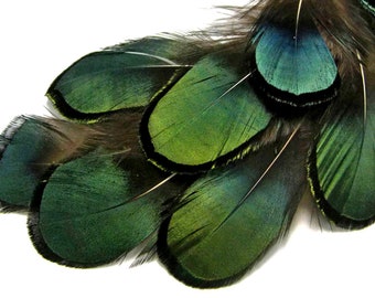 1 Pack - Iridescent Green Bronze Lady Amherst Pheasant Plumage Tippet Feathers 0.10 Oz. Dream Catcher Fly Tying Supply : 492