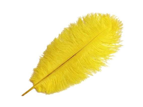 Plumas de avestruz, 100 piezas 11-13 amarillo avestruz drabs al por mayor  plumas de cuerpo a granel suministro de traje de pieza central : 5081 -   España