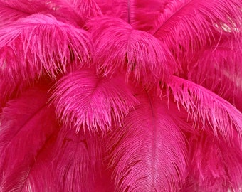 Pink Ostrich Feathers, 10 Pieces - 19 - 24" Hot Pink Ostrich Dyed Drabs Body Feathers Party Centerpiece Costume Supplier : 2140