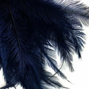 Ostrich Feathers, 20 Pieces 12-18 Navy Blue Mini Ostrich Spads Chick Body Feathers Halloween Costume Centerpieces : 3389 image 2