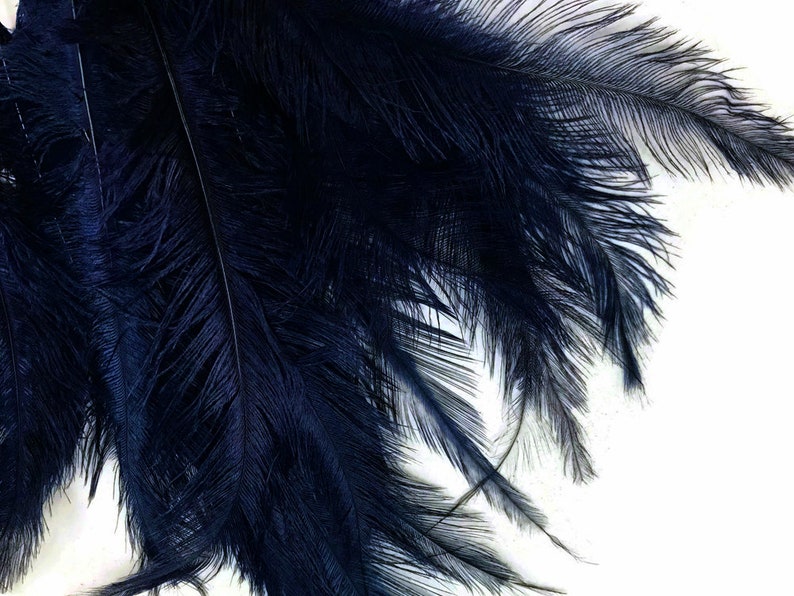 Ostrich Feathers, 20 Pieces 12-18 Navy Blue Mini Ostrich Spads Chick Body Feathers Halloween Costume Centerpieces : 3389 image 2