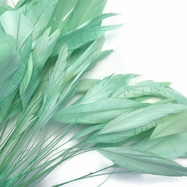 Eyelash Feathers, 1 Dozen - Aqua Mint Green Stripped Rooster Coque Tail Feathers : 3599