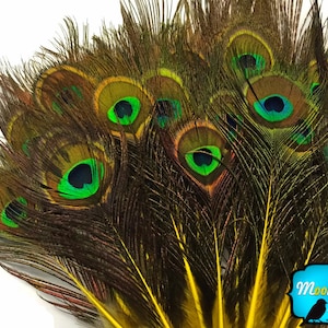 Hair Feathers, 10 Pieces - YELLOW MINI Natural Peacock Tail Body feathers with Eyes : 3642