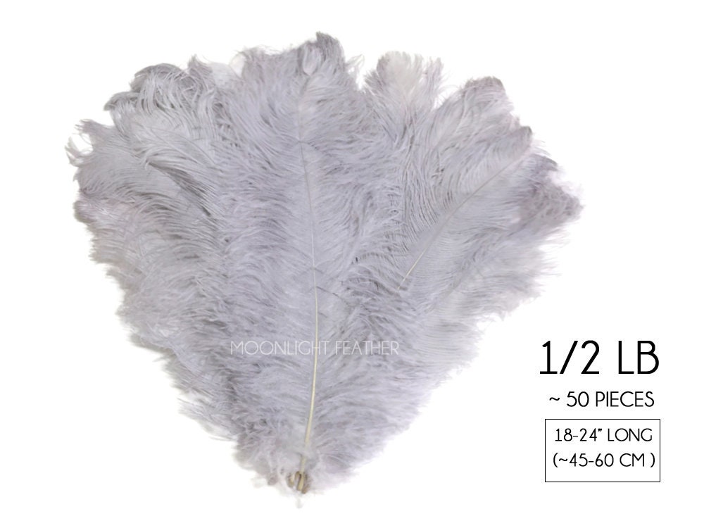 Ivory Ostrich Feathers, 1 Yard Ivory Ostrich Fringe Trim Wholesale Feather  bulk : 1822 