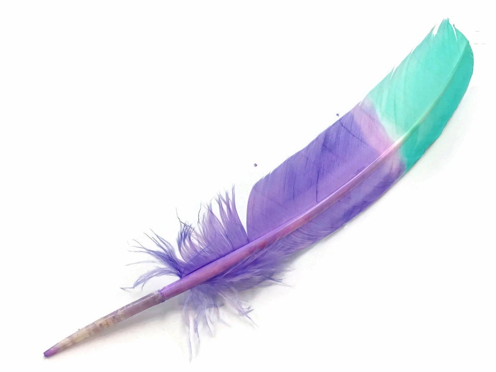 6 Pieces - Pink Purple Ombre Turkey Round Tom Wing Quill Feathers