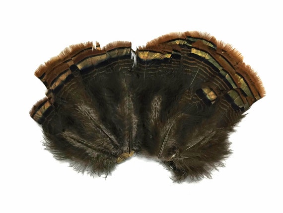 Natural Light Red//Blonde Chinchilla Mixed Rooster Feathers Strung US Seller