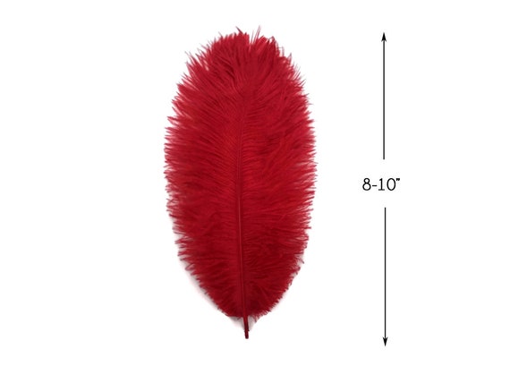 Large Ostrich Plume Feathers Bulk - Dyed & Natural