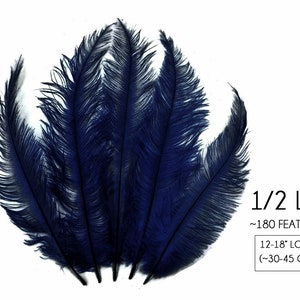 Ostrich Feathers, 1/2 Lb - 12-18" Navy Blue Mini Spads Ostrich Wholesale Chick Body Feathers (Bulk) Centerpiece Halloween Craft: 4219