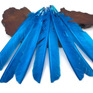 Puede incluir: Un paquete de diez plumas de color azul brillante, dispuestas en forma de abanico sobre una superficie de madera. Las plumas son largas y estrechas, con un acabado liso y brillante.