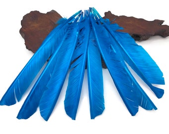 Ostrich Feathers, 1/4 lb - Turquoise Blue Turkey Pointers Quill Wing Wholesale Feathers (bulk) Halloween Costume Fletching : 3703
