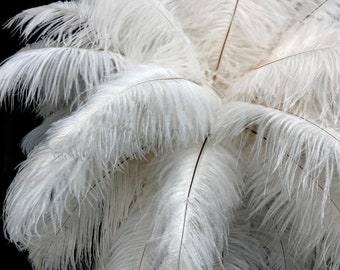 Ostrich Feathers, 10 Pieces - 6-8" Off White Ostrich Dyed Drabs Body Plumage Feathers Craft Supplier : 1362