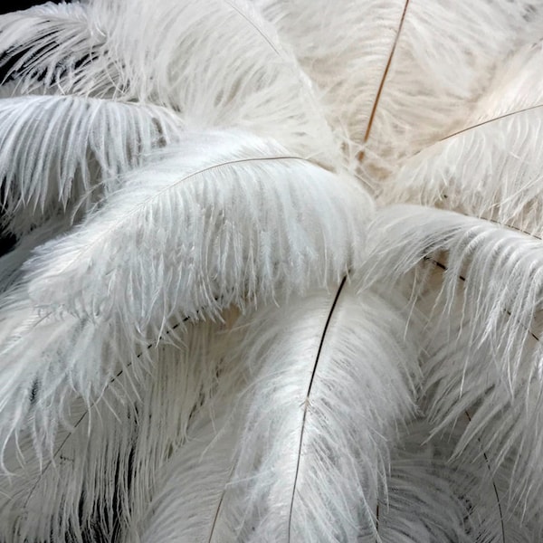 Plumes d’autruche, 10 pièces - 6-8 » Off White Autruche Teinte Drabs Body Plumage Plumes Craft Fournisseur : 1362