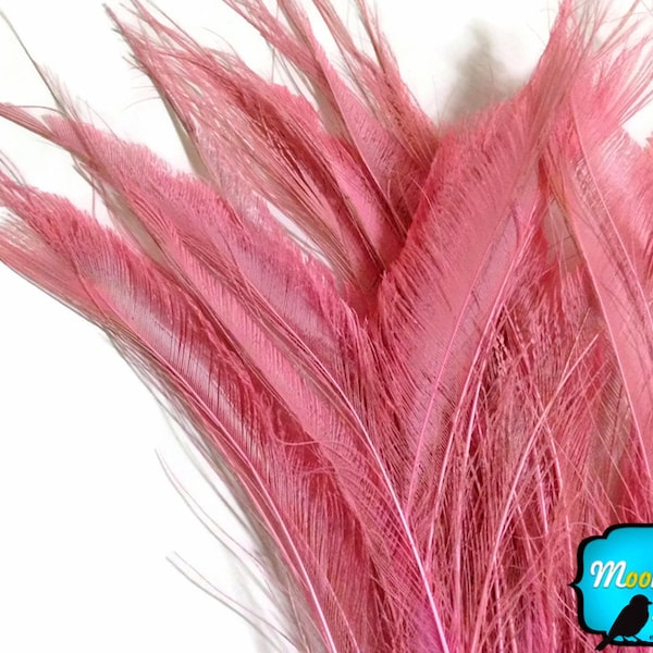 Curly Feathers, 5 Pieces - BABY PINK BLEACHED Peacock Swords Cut Feathers : 3563