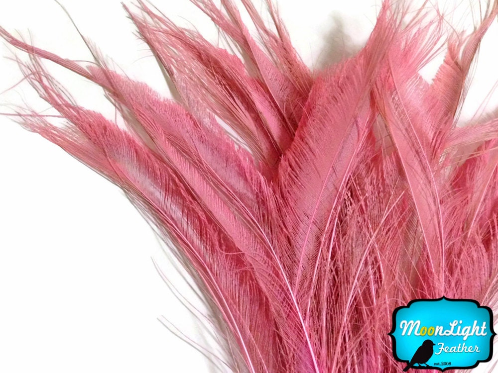Lockenfedern, 5 Stück - BABY PINK BLEACHED Peacock Swords Cut Federn : 3563