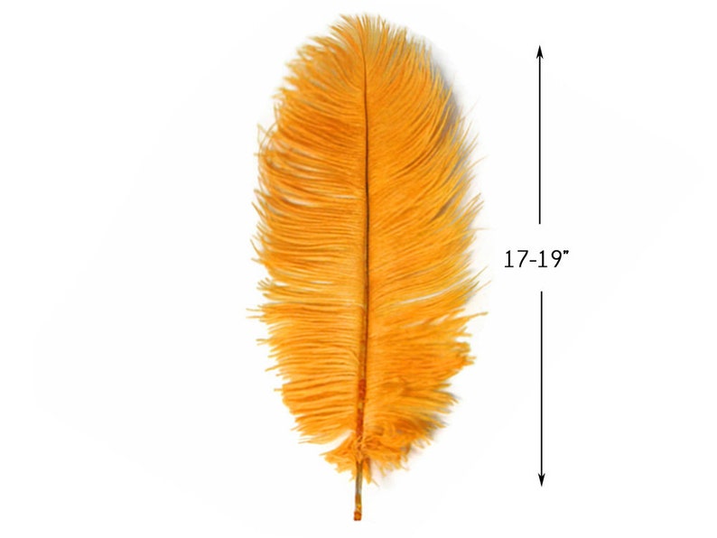 Mardi Gras Wedding Supplier 12 lb : 2052 17-19 Golden Yellow Large Ostrich Drab Plumage Wholesale Feathers Wholesale Feathers bulk