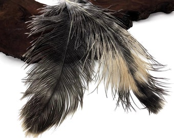 USA Feathers, 10 Pieces - 14-17" Natural Chinchilla Brown Ostrich Dyed Drab Body Feathers : 5035