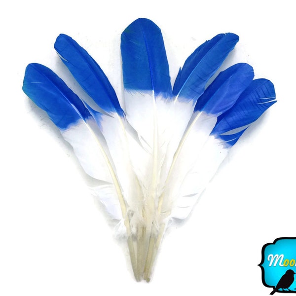 Piume di tacchino, 1/4 di libbra - Piume all'ingrosso di tacchino maschio tonde, immerse a metà, secondarie, all'ala (sfuse): 3445