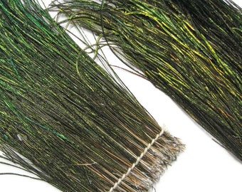 Peacock Fluffs, 3 Inch Strip - 5-7" Natural Iridescent Green Peacock Flue / Herl Strung Feathers : 329