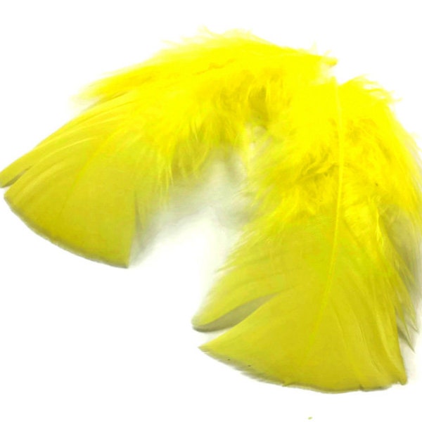 1 Pack - Yellow Turkey T-Base Body Plumage Feathers 0.50 oz. Halloween Craft Cosplay Fournisseur: 4084