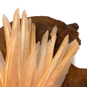 May include: A bunch of soft, peach-colored feathers with a natural, slightly rough texture. The feathers are arranged in a fan shape and are lying on a piece of wood.