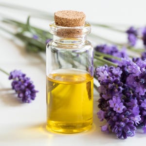 Aceite esencial de lavanda 100% puro de Bulgaria