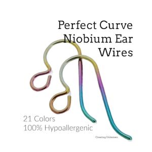 2 Pairs Perfect Curve Hypoallergenic Niobium Ear Wires in 21 Amazing Colors