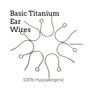 Hypoallergenic Basic Titanium Ear Wires Silver Grey Tone image 1