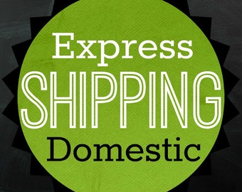 EXPRESS Domestic SHIPPING - USA