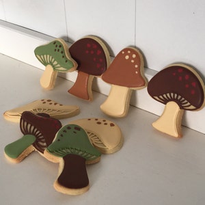 Woodland Mushrooms Hand Decorated Cookies - 1 Dozen