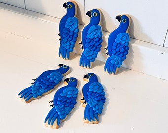 Hyacinth macaw parrot bird cookies - 1 dozen