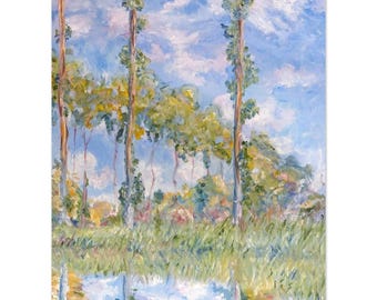 Poplars in the Sun – Fine Art Print on Premium Matte Paper