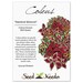 Coleus Seeds, Rainbow Mixture (Coleus blumei) Open Pollinated Seeds by Seed Needs