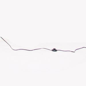 May include: A black electrical cord featuring a circular, flat, black floor switch positioned in the center. The cord extends horizontally across the frame, with the switch serving as a central control point for the connected electrical device.