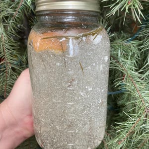 Homemade Pine Sol, all-natural surface cleaner