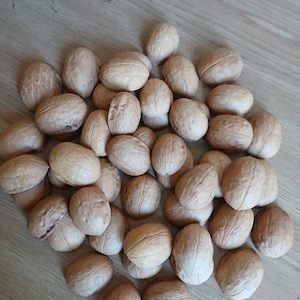 May include: A large collection of whole walnuts with light brown, textured, and wrinkled shells. The walnuts are oval and round in shape, displaying natural variations in colour and surface patterns, scattered together in a dense, overlapping pile.