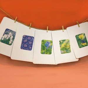 Coleção GARDEN Conjunto de cartões de jardim com motivos naturais | Cartão Gruß | Arte do Cartão | Sammelkarten