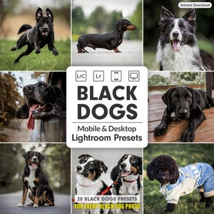 May include: A collage of various black dogs in different settings. The image includes a running dog, a dachshund, a border collie, and a dog with its head out of a car window. Text reads "BLACK DOGS" and "Mobile & Desktop Lightroom Presets."