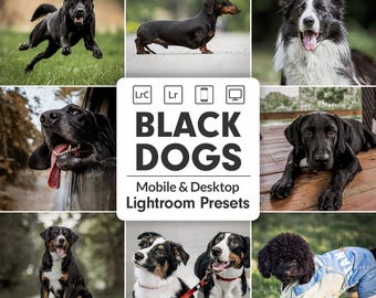 20種類の黒い犬のLightroomプリセット | 暗いペットの写真プリセット | モバイルとデスクトップ | ラブラドール、ボーダーコリー、ダックスフント、プードル