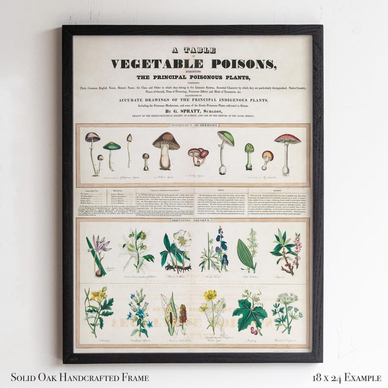 Poison Frame Vintage Vegetable Poisons Chart | Botanical Print, Oak Frame - Etsy