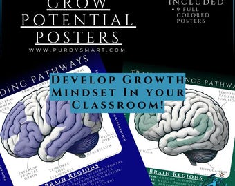 Pathways to Grow Potential | 9 Printable Growth Mindset Posters