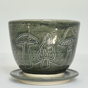 May include: A sage green ceramic planter with a matching saucer, featuring hand-carved outlines of various mushrooms and small dots across the exterior surface. The pot has a smooth, glossy finish and a wide, rounded shape with a light-colored base.