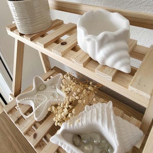 May include: A wooden shelf unit with decorative items. A white seashell-shaped dish contains clear stones. A starfish-shaped dish with pearls sits next to dried flowers. A potted succulent plant is on the top shelf.