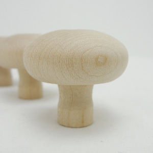 Small wooden mushroom, diy mushroom, wood mushroom, set of 5 unfinished DIY
